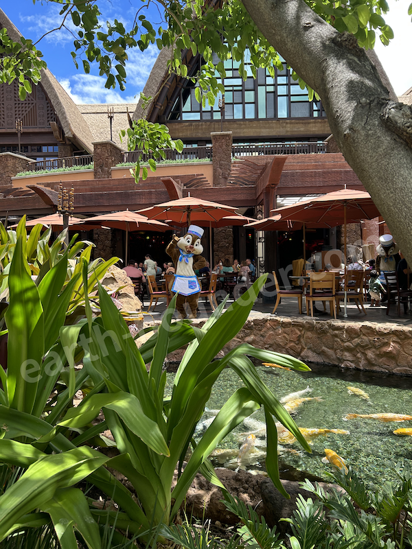 アウラニのマカヒキ